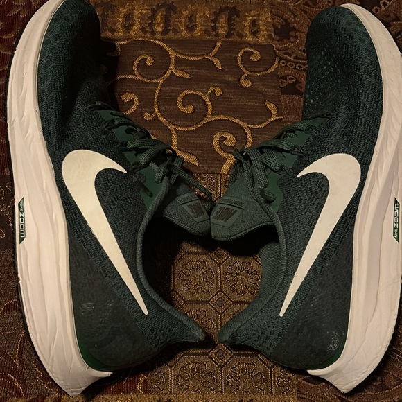 Nike Zoom Pegasus 35